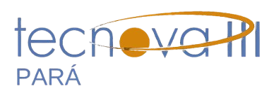 Logo TECNOVA III Pará